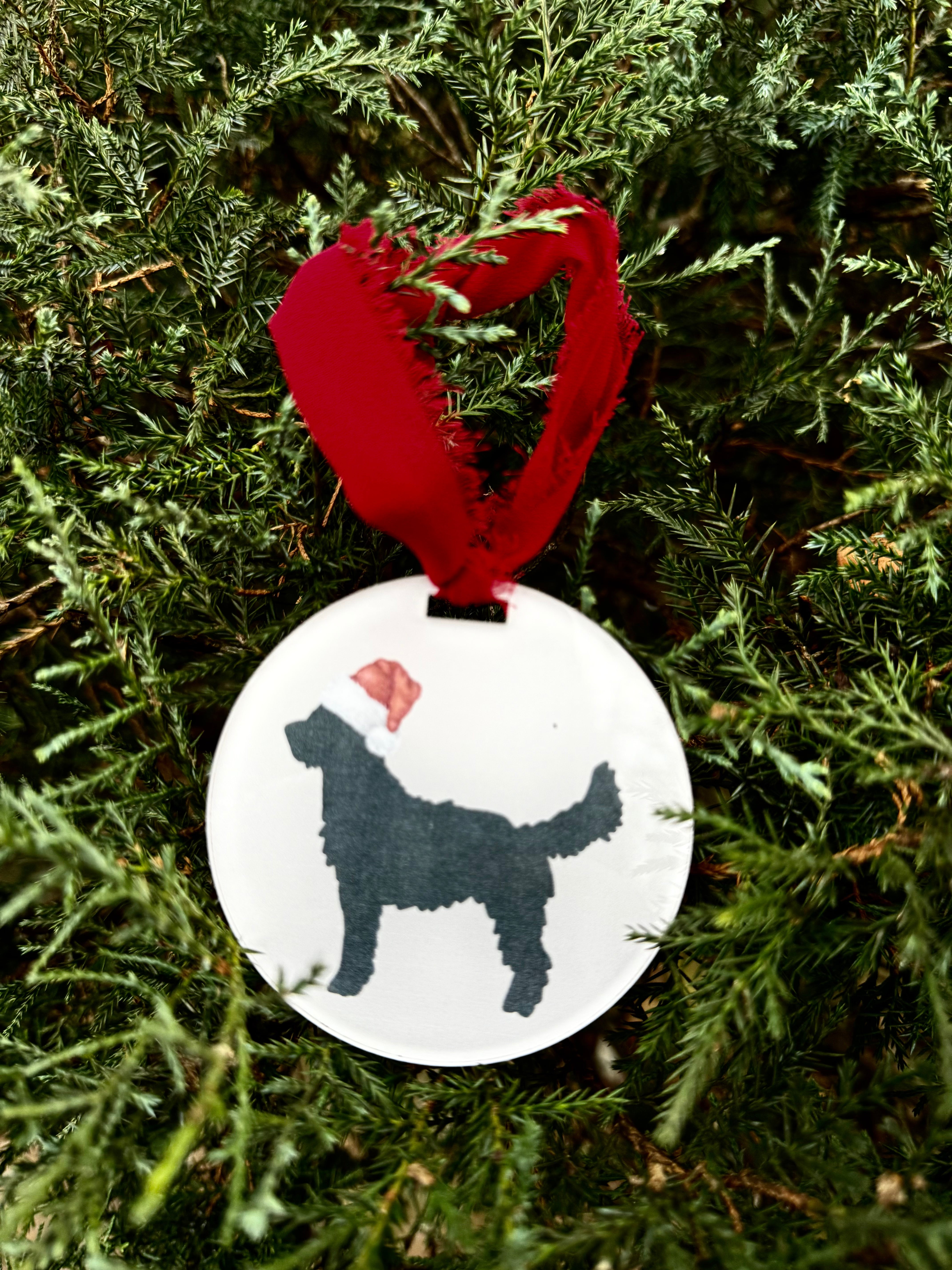 Acrylic Black Dood Ornament