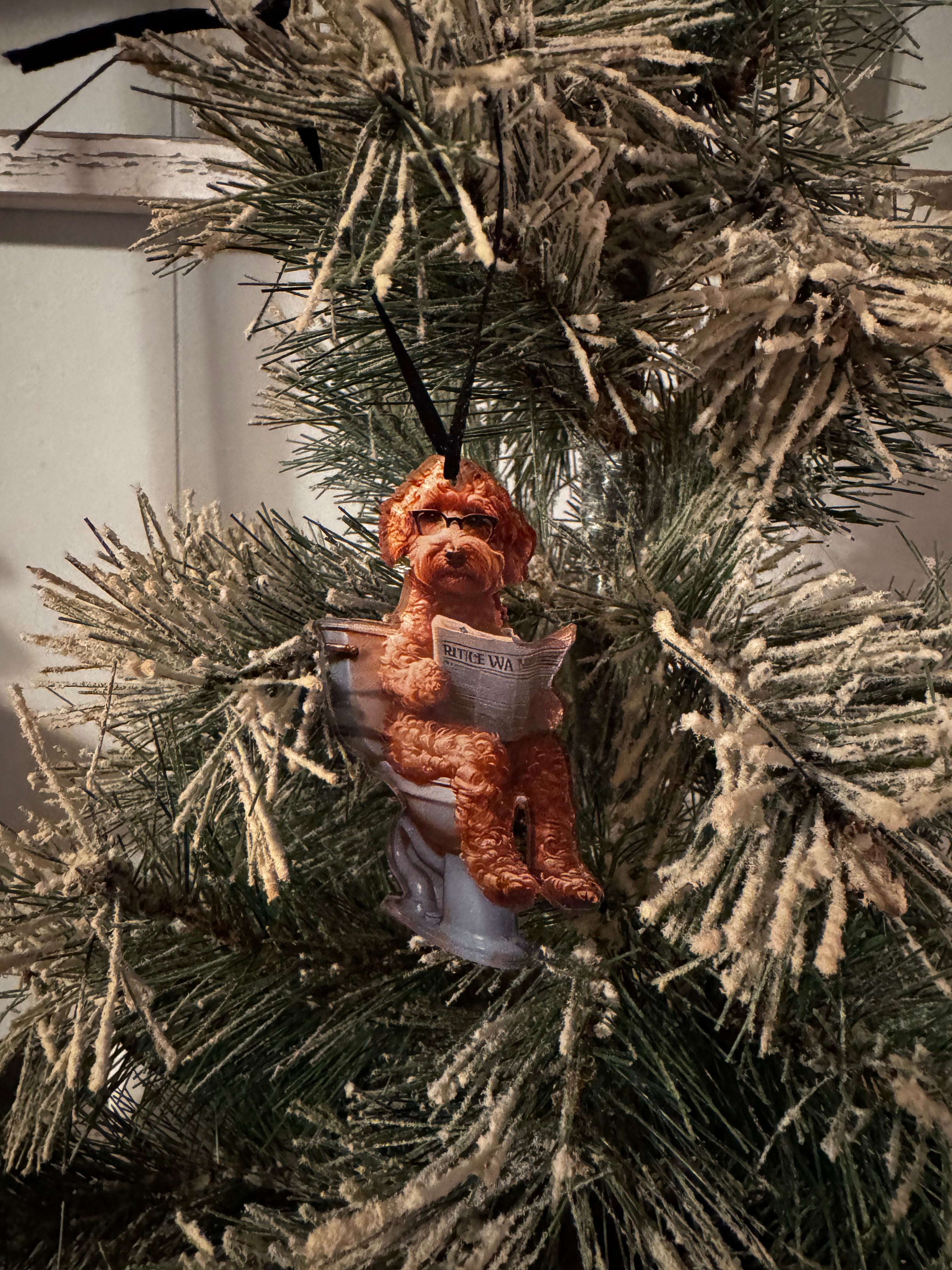 Acrylic Poopin' Dood Ornament